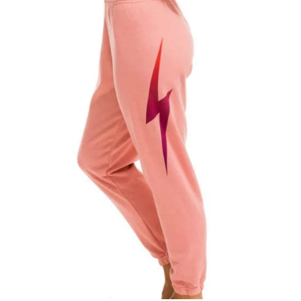 Aviator sweatpants